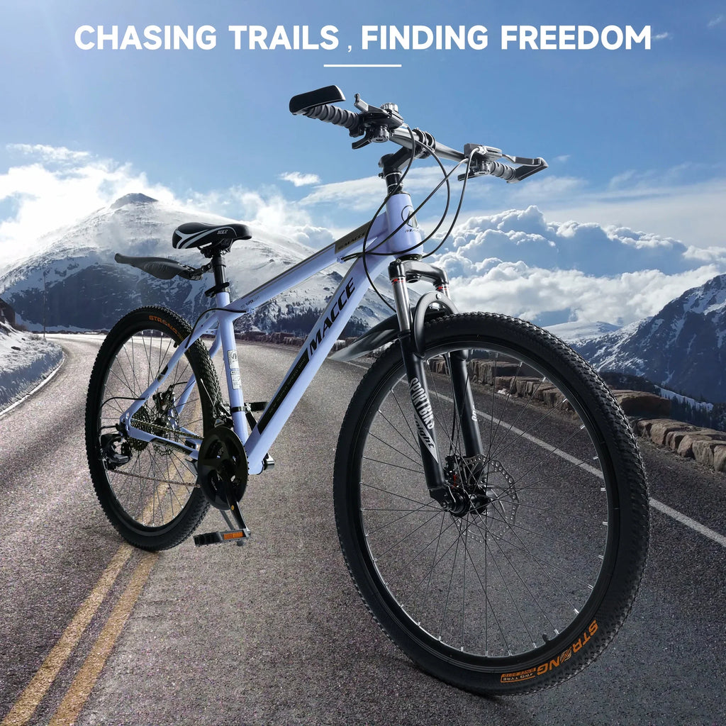ARTUDATECH Mountain Bike 26 Inch for Adult, 27-Speed Dual Suspension High-Carbon Steel MTB Bicycle, Dual Disc Brake Bikes for Men Women, Silver, Blue, Gray and Red