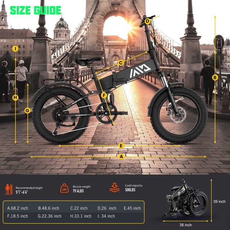 TST Electric Bike, 4.0 Fat Tire Foldable Ebike, 48V 13Ah Battery, 750W Electric Commuter Bicycle with LCD, 20" One-Step Folding Electric City Bike for Men Women, Black