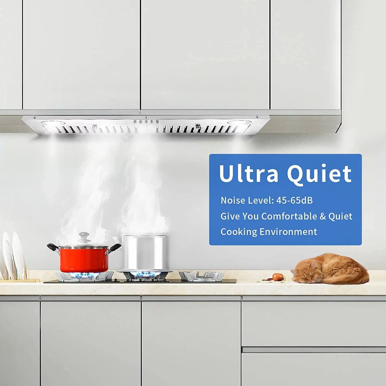 Range Hood 30-inch Built-in Insert Cooker Hood 600CFM Powerful Exhaust Vent Fan